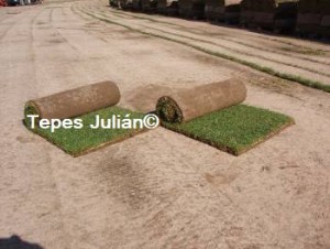 Tepes de césped natural Tepes Julián.